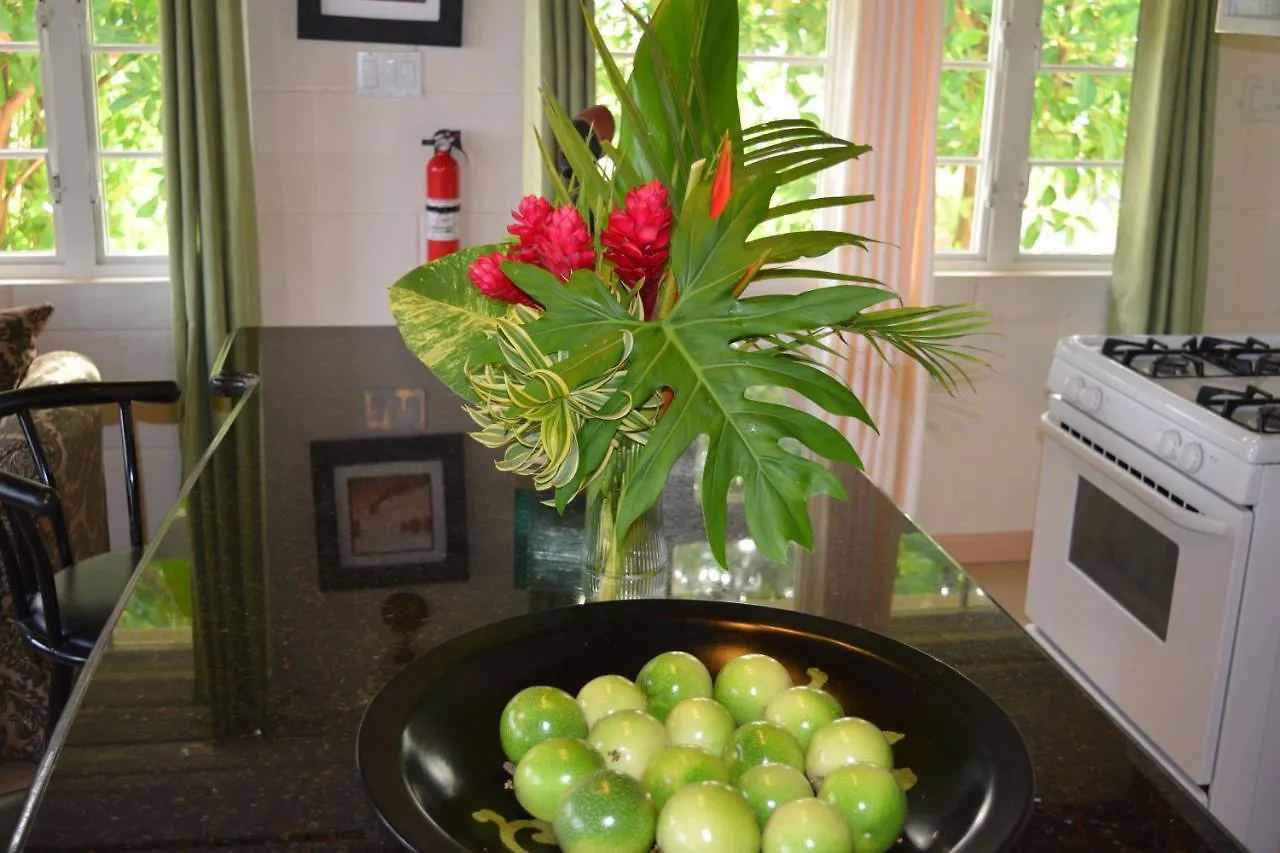 Coconut Walk Beach Apartment Christ Church Barbados