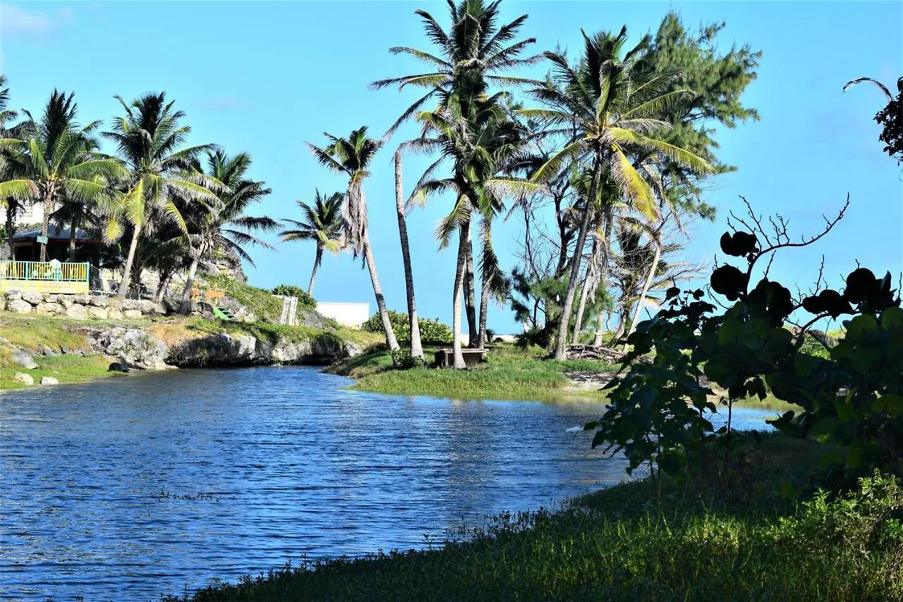 Coconut Walk Beach Apartment Christ Church Holiday home