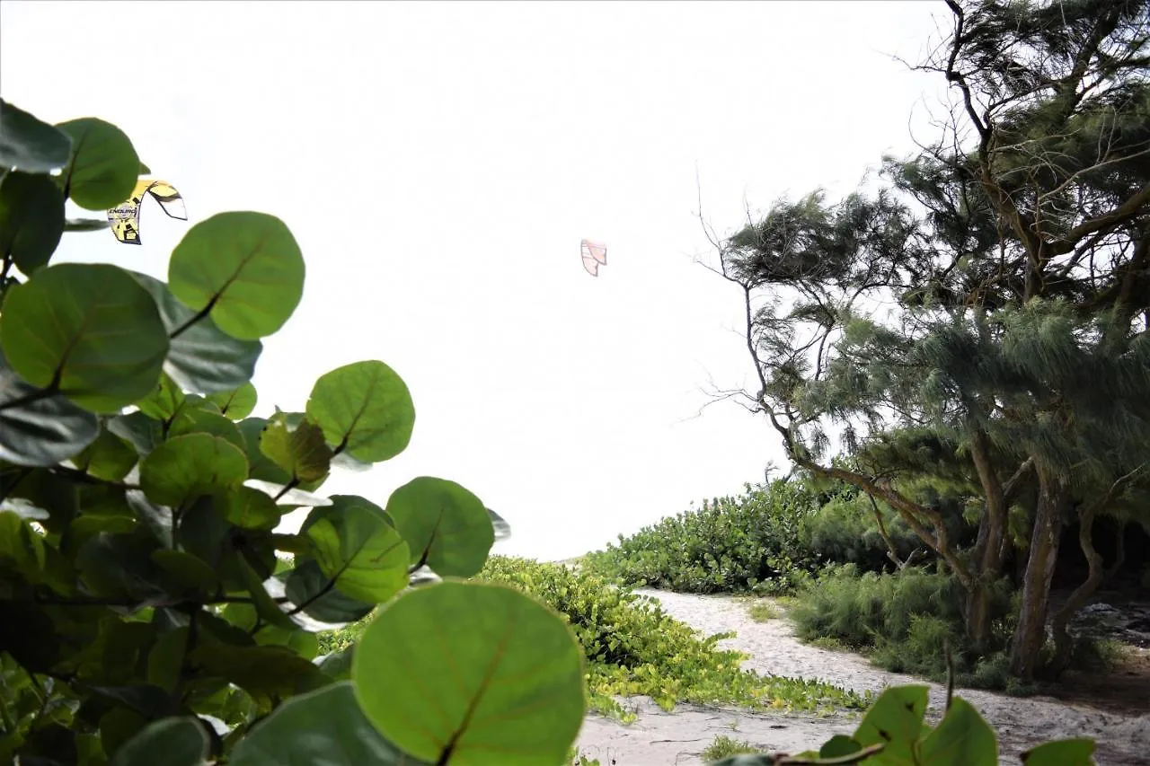 Coconut Walk Beach Apartment Christ Church Barbados
